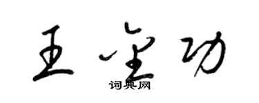 梁锦英王金功草书个性签名怎么写