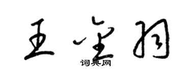 梁锦英王金羽草书个性签名怎么写