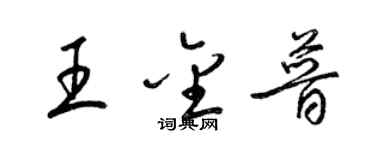 梁锦英王金普草书个性签名怎么写
