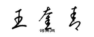 梁锦英王奎青草书个性签名怎么写