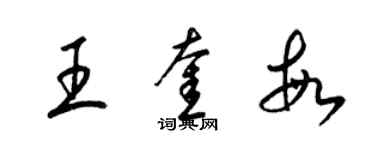 梁锦英王奎敏草书个性签名怎么写