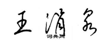 梁锦英王涓泉草书个性签名怎么写