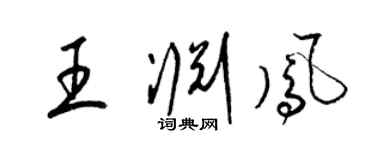 梁锦英王渊凤草书个性签名怎么写