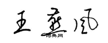梁锦英王燕风草书个性签名怎么写
