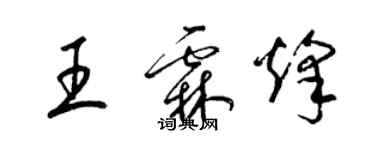 梁锦英王霖烽草书个性签名怎么写