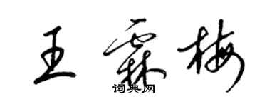 梁锦英王霖梅草书个性签名怎么写