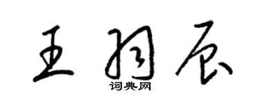 梁锦英王羽辰草书个性签名怎么写