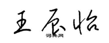 梁锦英王辰怡草书个性签名怎么写