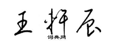 梁锦英王轩辰草书个性签名怎么写