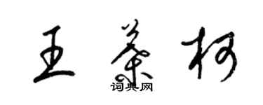 梁锦英王叶柯草书个性签名怎么写