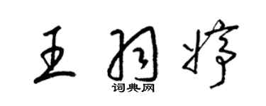 梁锦英王羽婷草书个性签名怎么写
