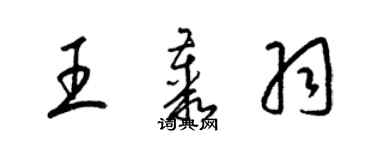 梁锦英王丛羽草书个性签名怎么写