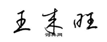 梁锦英王来旺草书个性签名怎么写