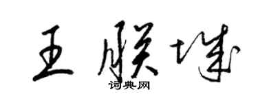 梁锦英王朕城草书个性签名怎么写