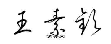 梁锦英王素钦草书个性签名怎么写