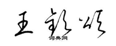梁锦英王钦颂草书个性签名怎么写