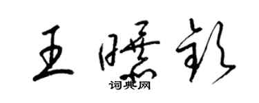 梁锦英王曝钦草书个性签名怎么写