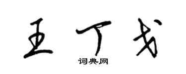 梁锦英王丁戈草书个性签名怎么写