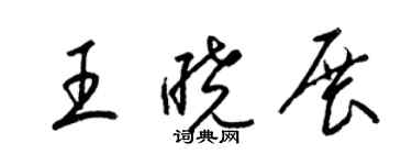梁锦英王晓展草书个性签名怎么写