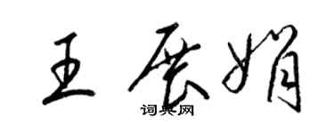 梁锦英王展娟草书个性签名怎么写