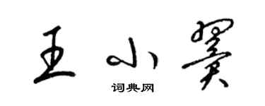 梁锦英王小翼草书个性签名怎么写