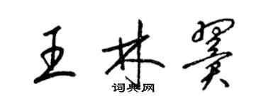 梁锦英王林翼草书个性签名怎么写