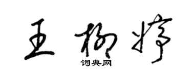梁锦英王柳婷草书个性签名怎么写