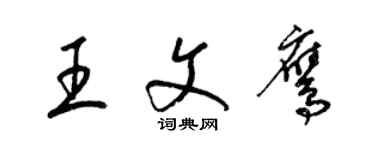 梁锦英王文鹰草书个性签名怎么写