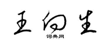 梁锦英王向生草书个性签名怎么写