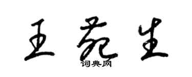 梁锦英王苑生草书个性签名怎么写