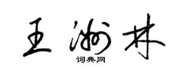 梁锦英王洲林草书个性签名怎么写