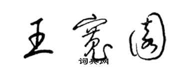 梁锦英王宽园草书个性签名怎么写