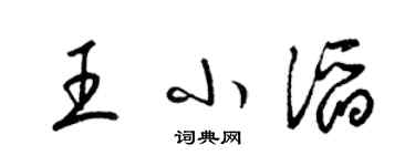 梁锦英王小滔草书个性签名怎么写