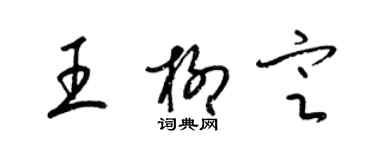 梁锦英王柳定草书个性签名怎么写