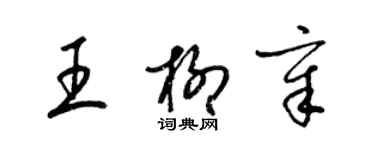 梁锦英王柳章草书个性签名怎么写