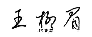 梁锦英王柳眉草书个性签名怎么写