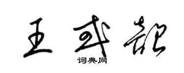 梁锦英王或韶草书个性签名怎么写