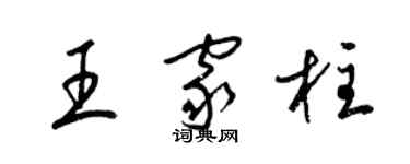 梁锦英王家柱草书个性签名怎么写
