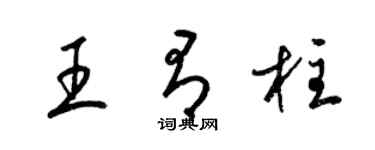 梁锦英王有柱草书个性签名怎么写