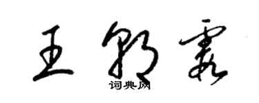 梁锦英王朝霞草书个性签名怎么写