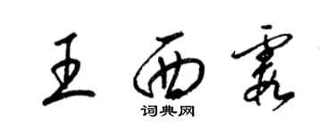 梁锦英王西霞草书个性签名怎么写