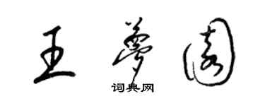 梁锦英王梦园草书个性签名怎么写