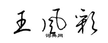 梁锦英王风彩草书个性签名怎么写