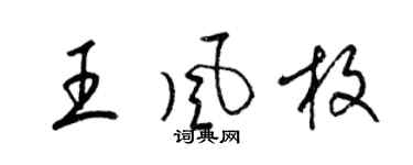 梁锦英王风枚草书个性签名怎么写