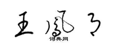 梁锦英王凤月草书个性签名怎么写