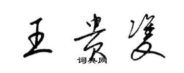 梁锦英王贵双草书个性签名怎么写