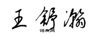 梁锦英王舒瀚草书个性签名怎么写