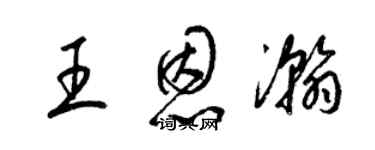 梁锦英王恩瀚草书个性签名怎么写