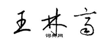 梁锦英王林齐草书个性签名怎么写