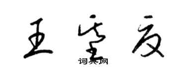 梁锦英王基夏草书个性签名怎么写
